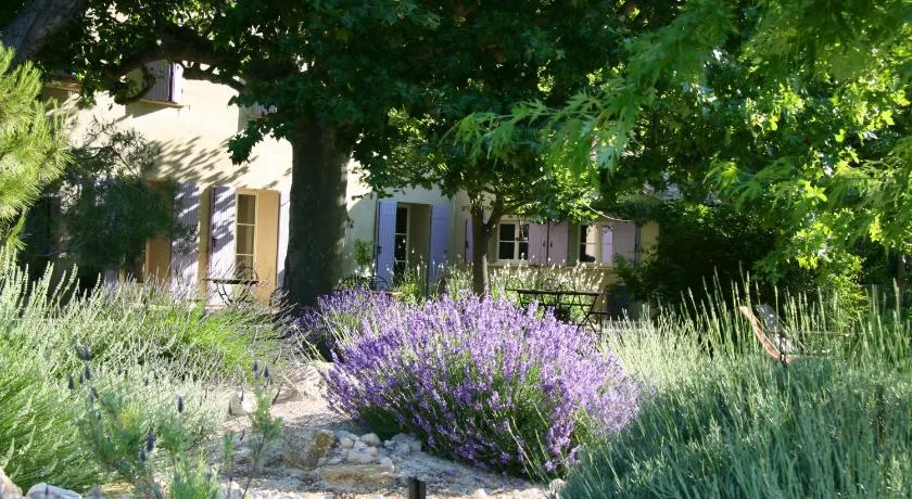 Couleur Lavande - Image 1
