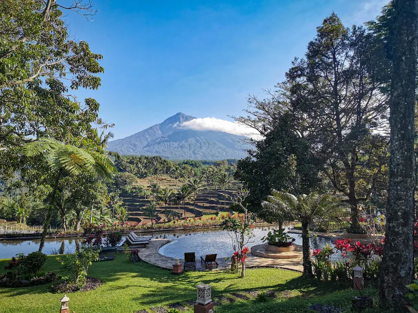 Ijen Resort and Villas - The Hidden Paradise - Image 1