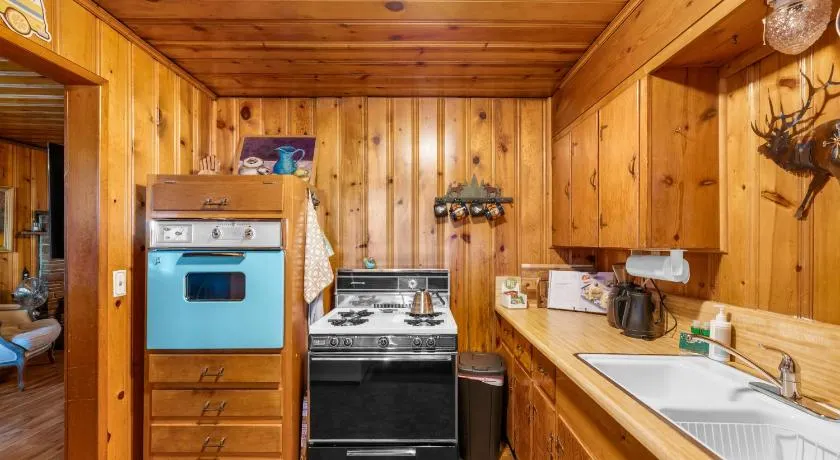 Cozy Cabin in the Pines w Grill Outdoor Dining - Image 1