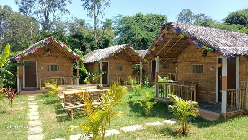 Island Vibes - Image 1