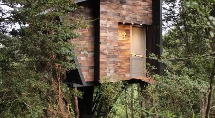 TREE LODGE CHILOE - Image 1