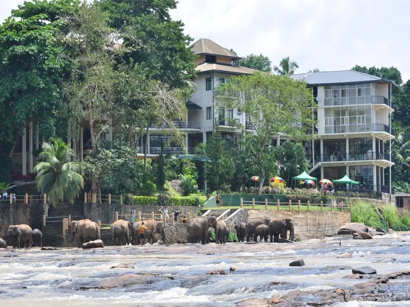 Hotel Elephant Bay - Image 1