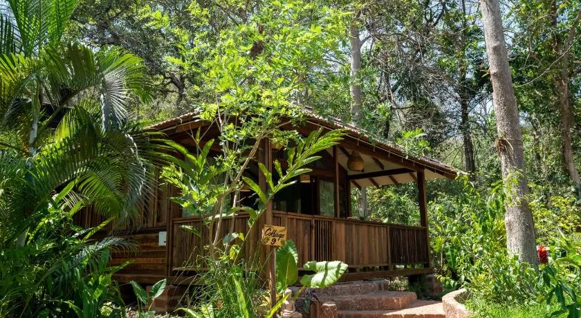 Mojigao - Eco Resort - Image 1