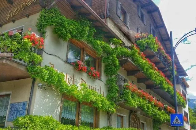 Hotel Daniela - Image 1