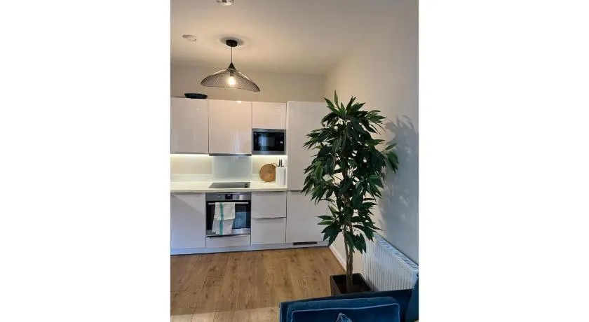 Fantastic Modern 1 Bedroom Flat in Lambeth - Image 1