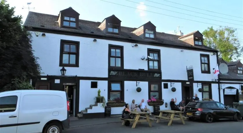 Black Bull - Image 1