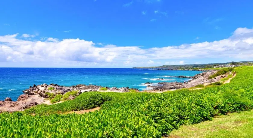 Kapalua Bay Villas Oceanfront 1 BR Large Master Suite Villas Complimentary Car with 6 Nights KBV-30G2 by KBM - Image 1