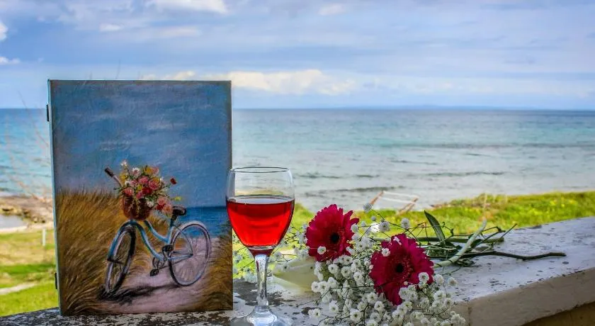 Pelagion Sea Coral - Beachfront holiday home - Image 1