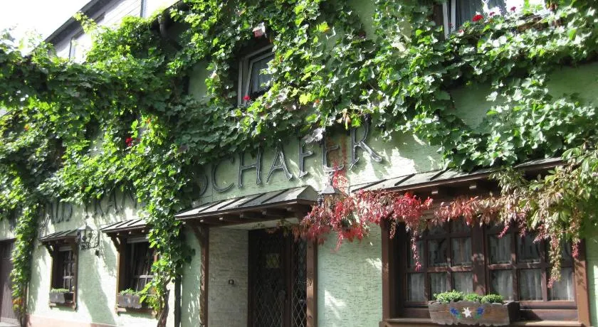 Weingut Franz Schäfer - Image 1