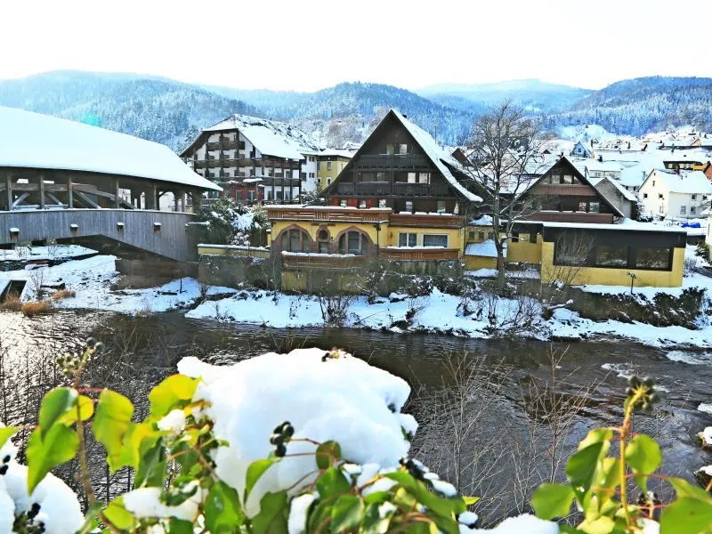 Das Waldhaus - Image 1