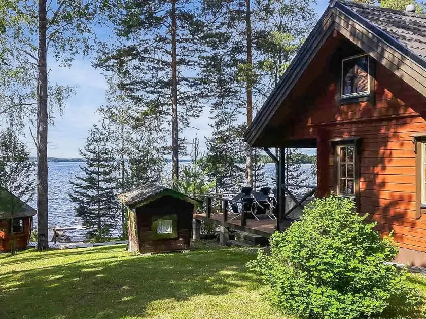 Puolen hehtaarin metsä - Image 1