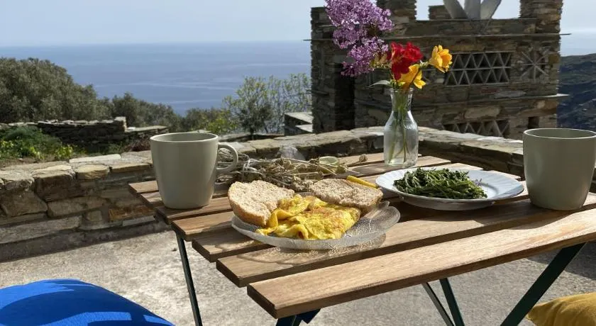 Andros Vineyard house with sea view - Image 1