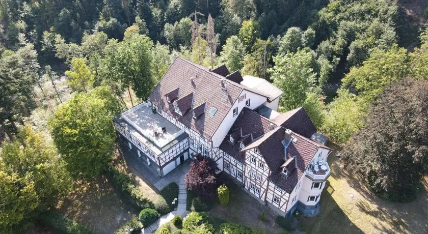 Der Falkenhorst - Image 1
