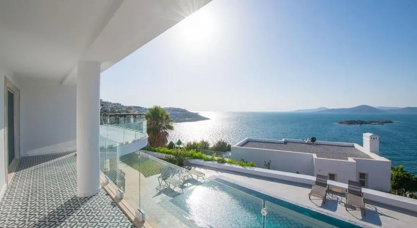 BEACH FRONT SUPER VİLLA Boss 1 - Image 1