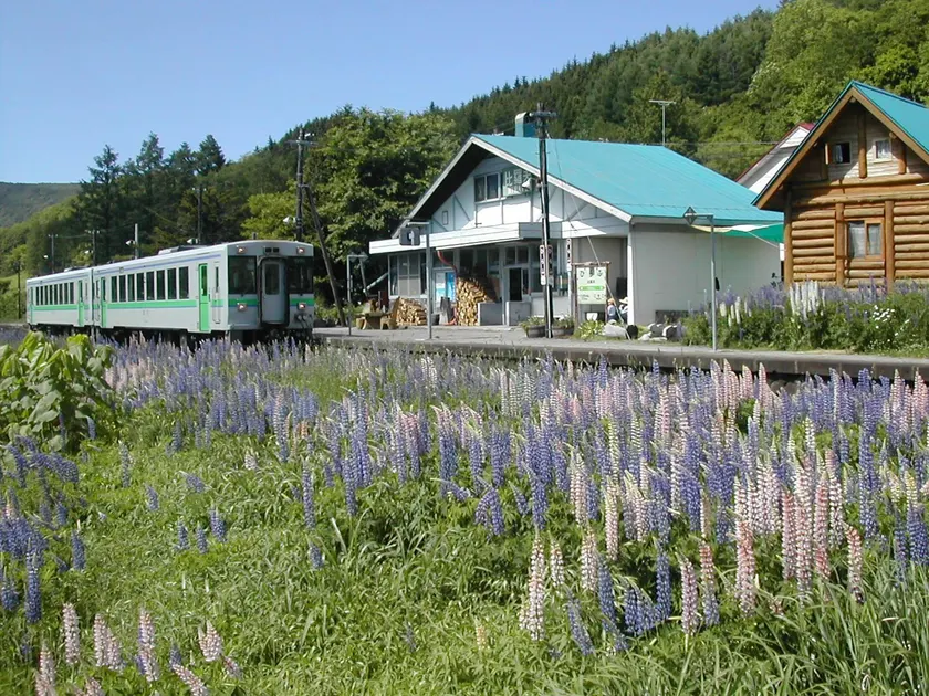 Hirafu Station Guesthouse - Ekinoyado Hirafu - Image 1