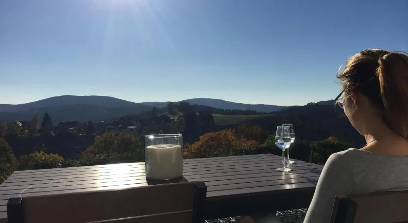 Lina's Ferienwohnungen - zwei moderne FeWos mit Sauna im Haus und fantastischem Ausblick - Image 1