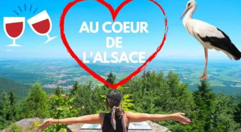 Plaisirs d'Alsace - Munster - Colmar - Route du vin - Image 1