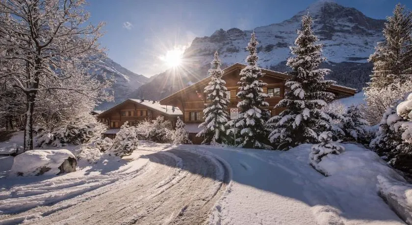 ❤️Chalet Dolphin. neu ❤️ - Image 1
