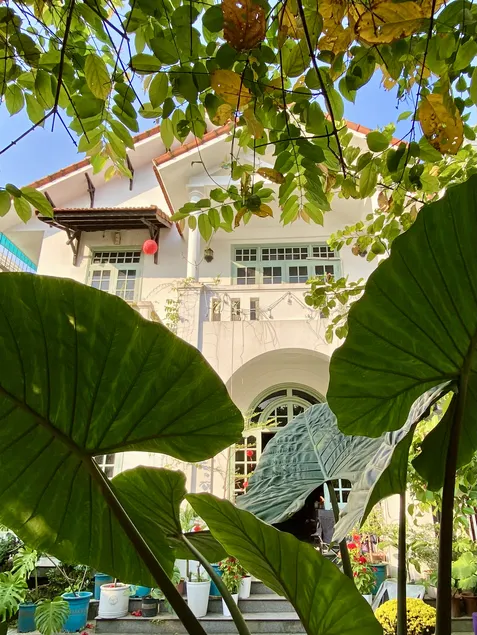 ký ức tươi đẹp homestay - Image 1