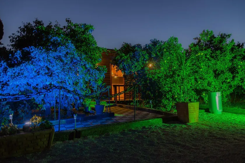Asbn Magic Garden - Image 1