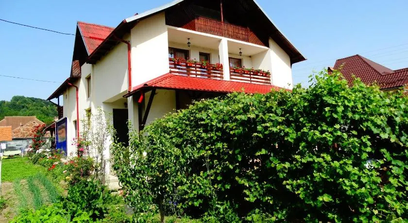 Pensiunea Casa Elena - Image 1