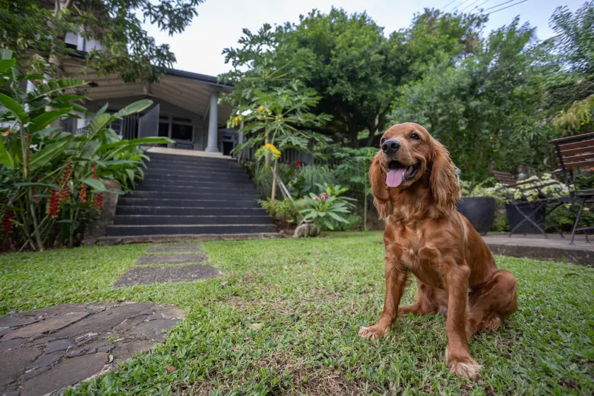 Hibiscus Villa - Image 1