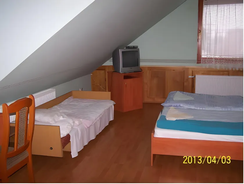Borostyánkert Étterem & Vendégház - Image 1