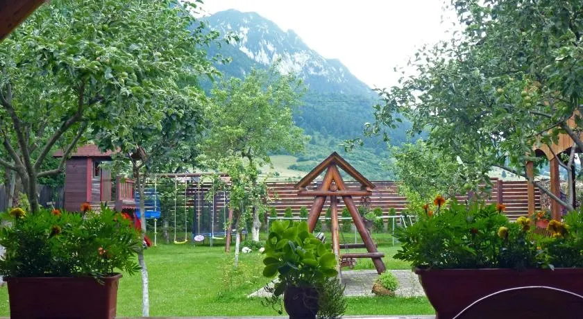 Sura Pietrei Craiului - Image 1