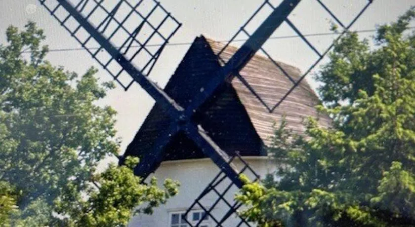 Gibbet Windmill pet friendly home & paddock - Image 1