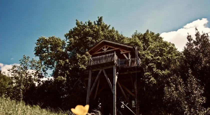 Aura Cabana - Cabane spa perchée à 6 m de haut - Image 1