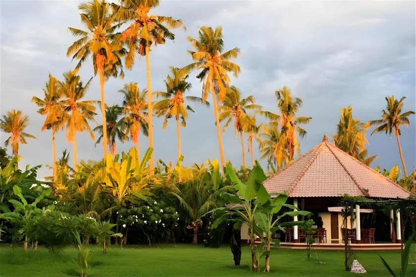 Bali Oase Resort - Image 1