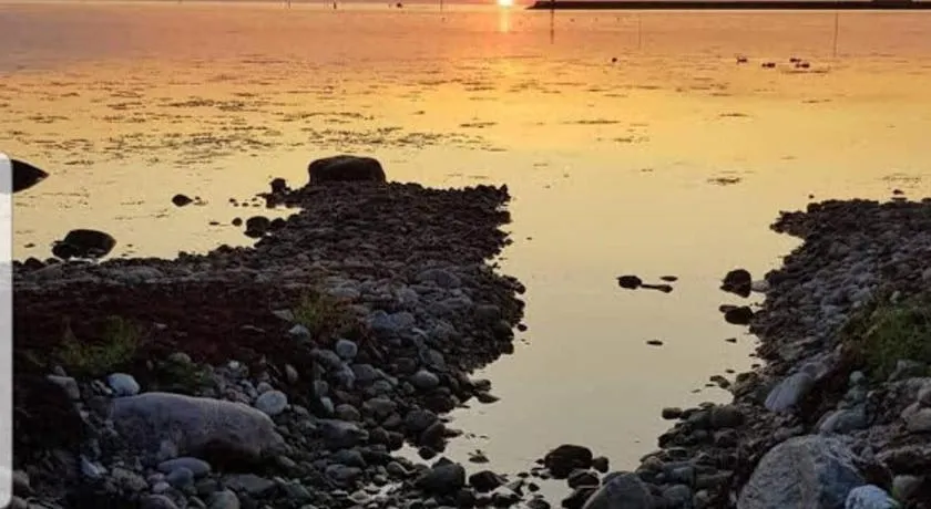 47 By the sea - Image 1