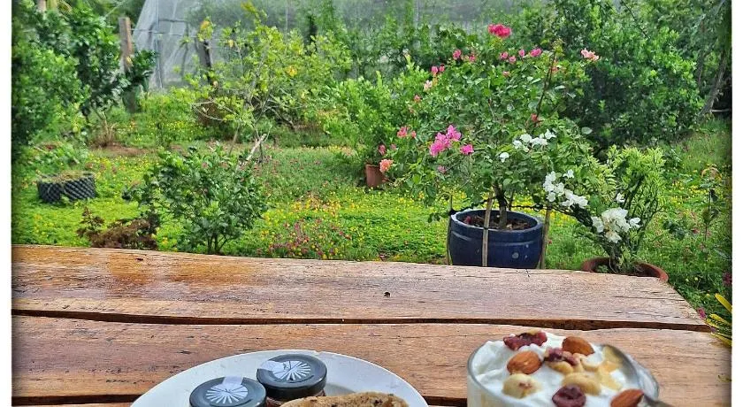 Summer Stations Homestay Binh Chau - Ho Coc Beach - Vung Tau - Image 1