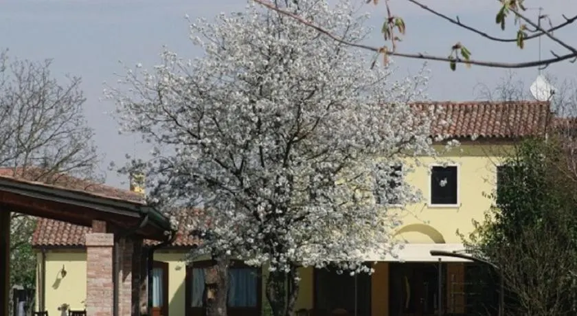 Particolari del Brenta - Image 1