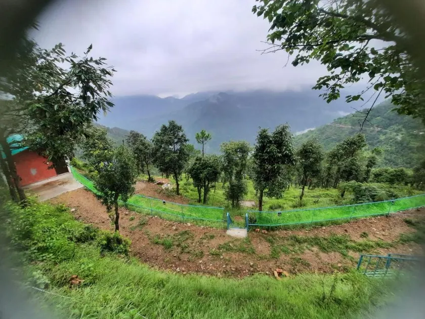 Neo Resort - Image 1