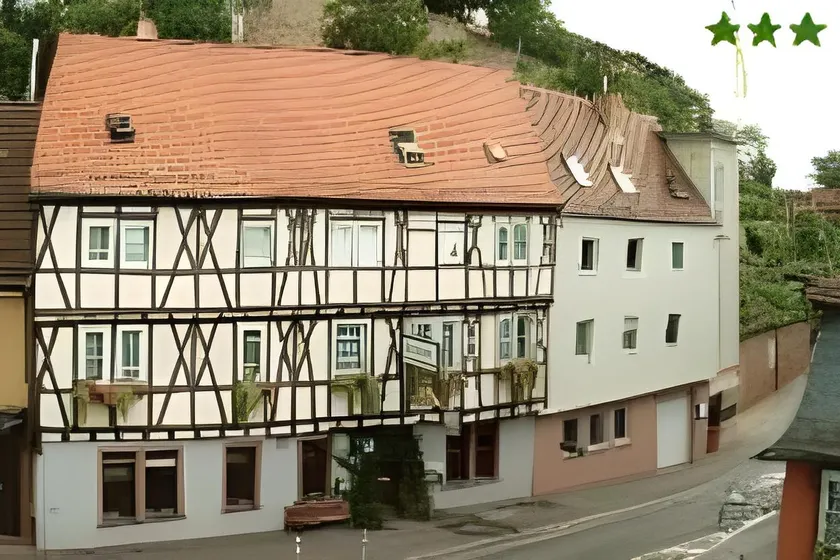 Hotel Goldener Karpfen - Image 1