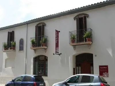 Flora - Image 1