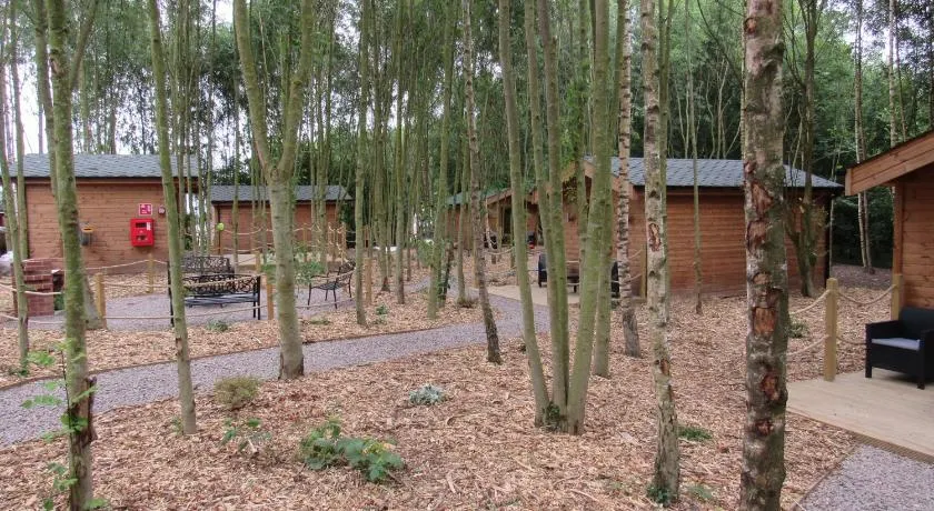 Riddings Wood lodges - Image 1