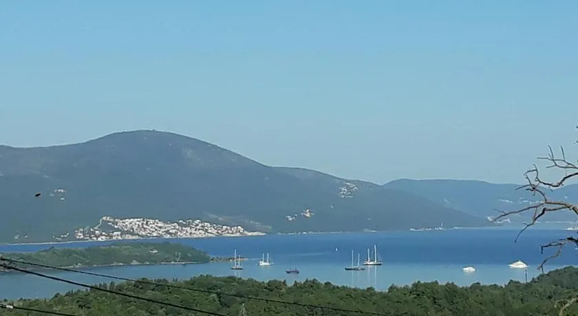 Pocanic apartmani - Image 1