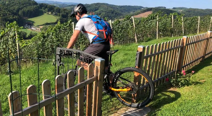 Kranach 5 - Wohnen beim Wein - Image 1