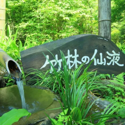 Tanoharu Onsen Ryokan Ryukeien - Image 1