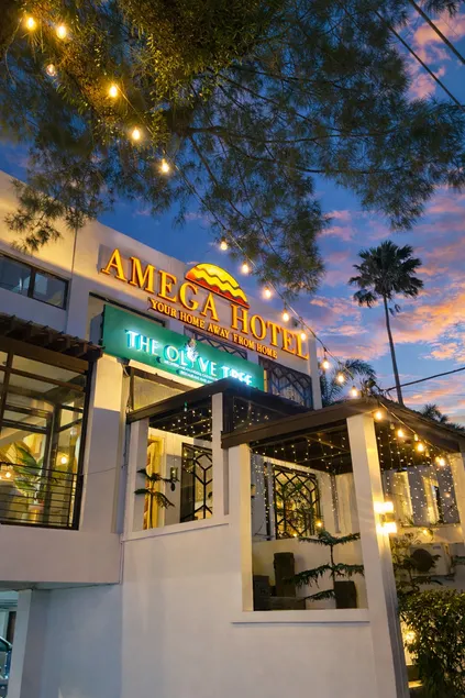 Amega Hotel - Image 1