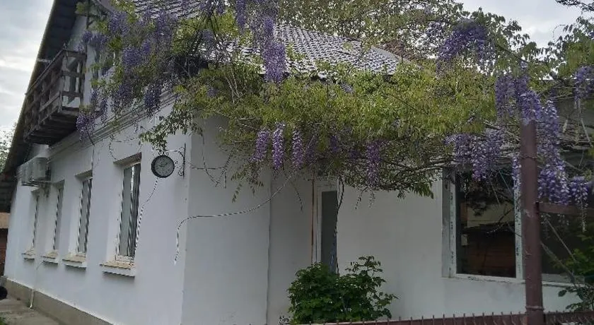 CASA MEA-Casa Mocanu - Image 1