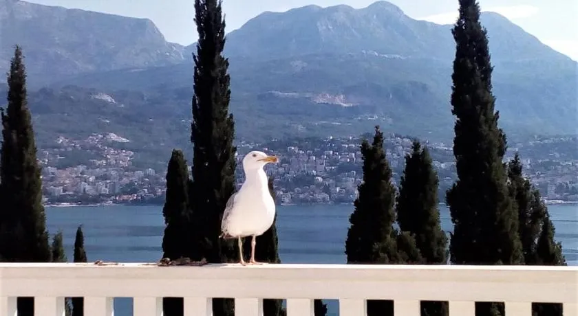 Villa Boka Sunrise Apartments - Image 1