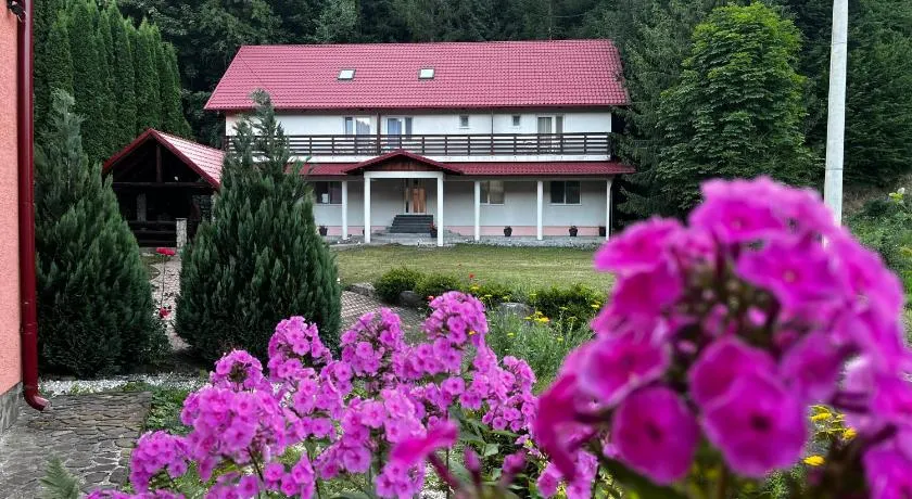 Vacation villa Sucevița - Image 1