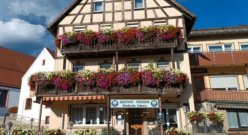 Gasthof-Pension Fränkische Schweiz Obertrubach - Image 1