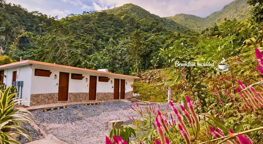 Finca Ki' - Eco Farm Stay Bed & Breakfast - El Yunque Region - Image 1