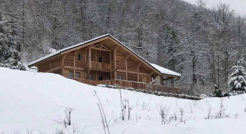 Chalet savoyard d'exception avec piscine chauffée - Image 1