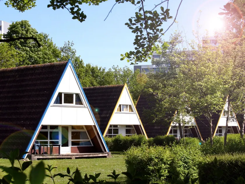 Detached holiday home decorated with wood, on the Ostsee - Image 1