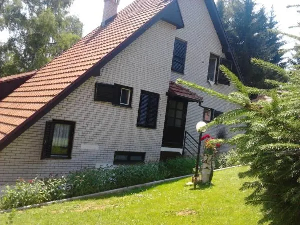 Vlasinski vrtovi - Image 1